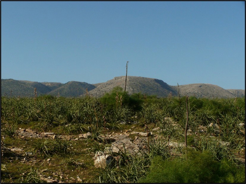 Il Gargano